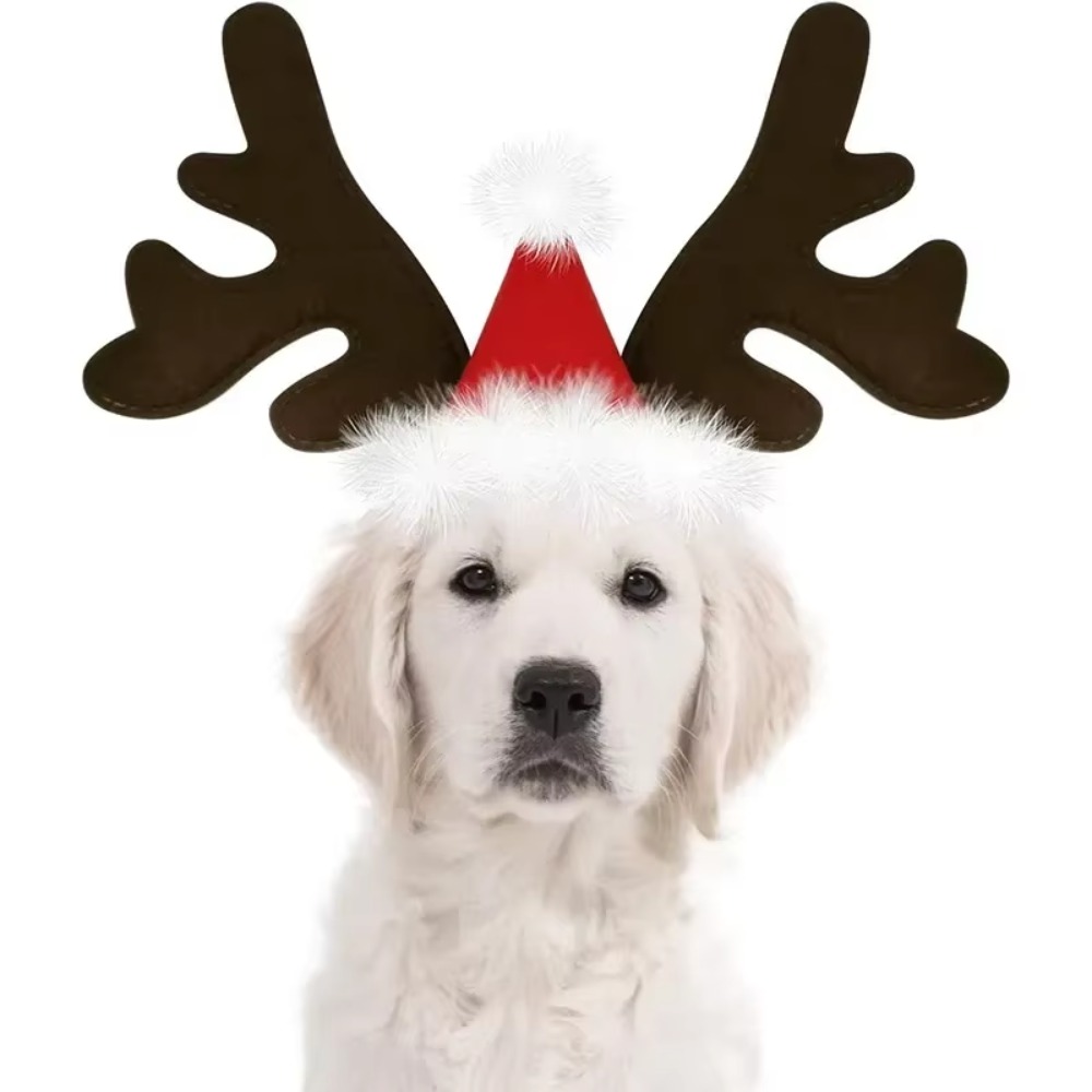 ペット用クリスマス・トナカイの角のヘッドバンド。サンタ帽付き - Reindeer Antlers Headband のレビューと価格